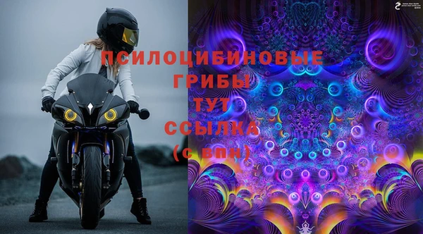 гашик Балабаново