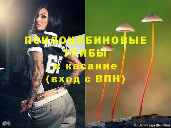 гашик Балабаново