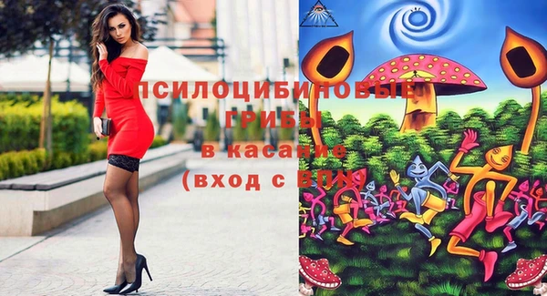 гашик Балабаново