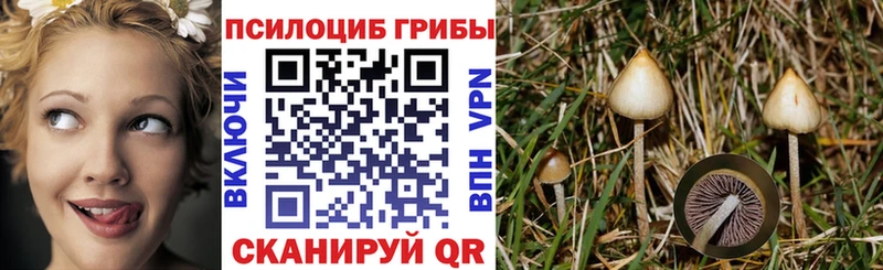Галлюциногенные грибы Cubensis  Афипский 