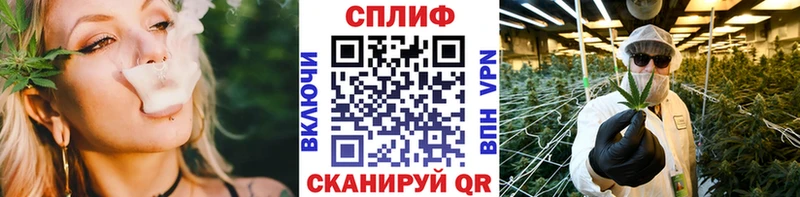 Каннабис индика  Афипский 
